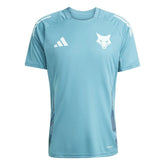 Camisa Cruzeiro Treino II 25/26 Azul Turquesa Masculina Adidas