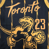 Regata Toronto Raptors Swingman NBA 75 Anos Preta